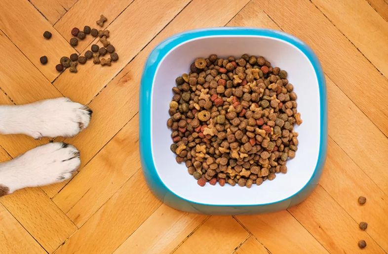 Holistic Dog Food Image