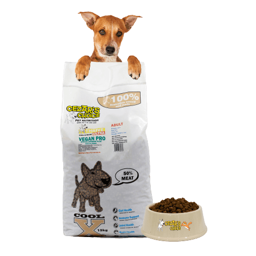 Cezar’s Ultra Grain Free Beef Adult 12kg