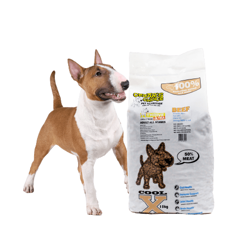 Adult Dog Food