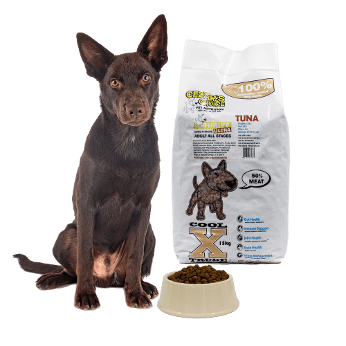 cezars ultra grain free adult kangaroo 8 kg