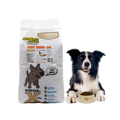 Adult Dog Food