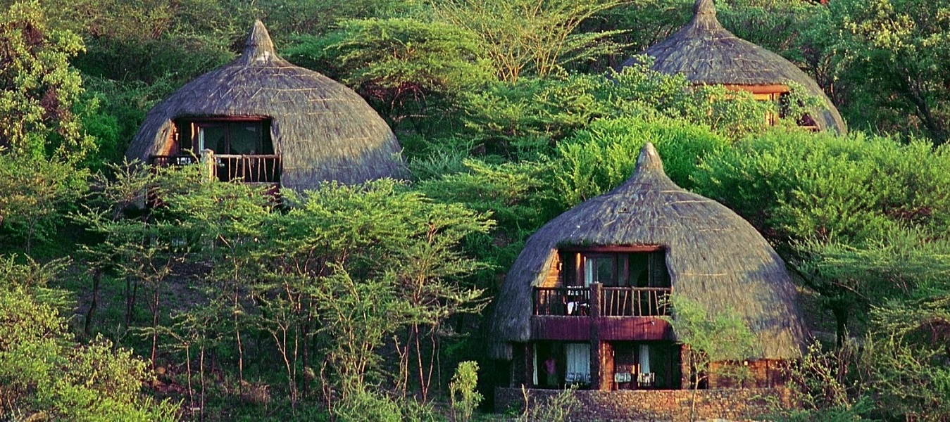 6 Days Classic Lodge Safari