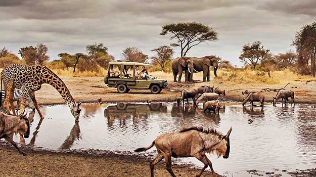 6 Days Classic Lodge Safari