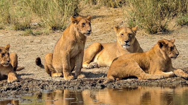 8 Days Discover Tanzania