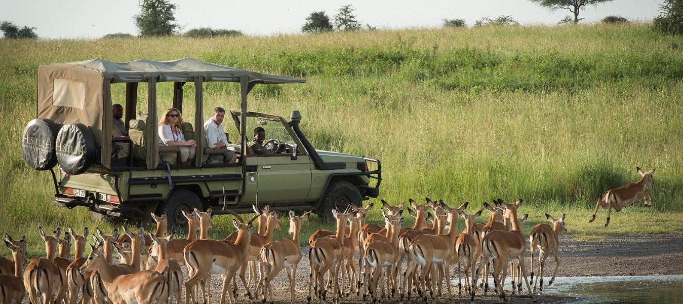 4 Days Serengeti Express